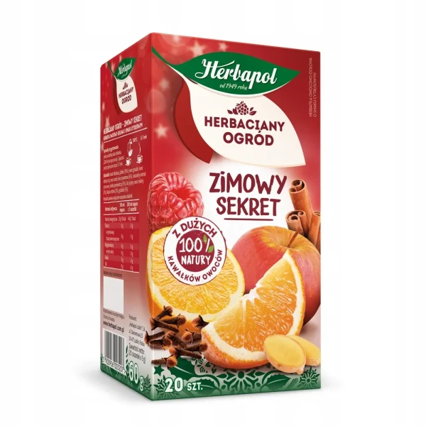 zimowy ogrod.webp