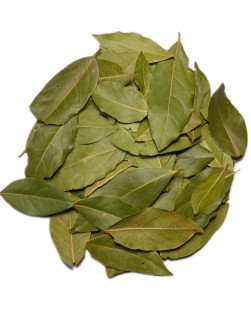 Liść laurowy 100 g Liście laurowe