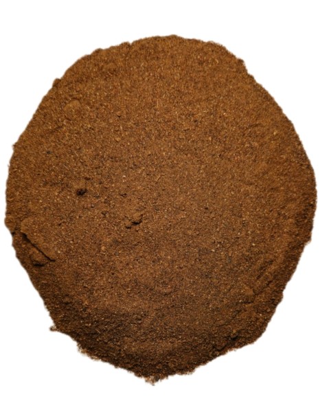 Jałowiec mielony.jpg